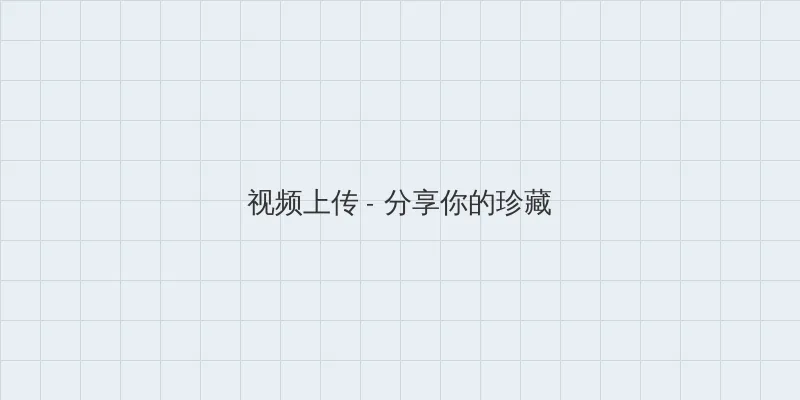 kaixinsebo 视频上传区域